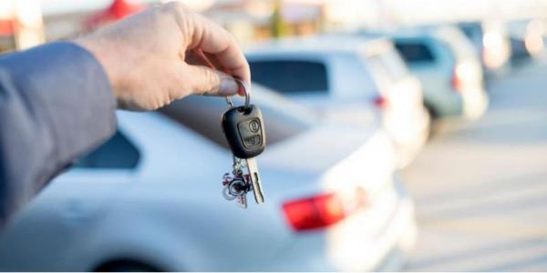 حماية قطاع السيارات السياحية من النمر البيضاء أولى من إرهاق كاهله بالنصف مليو