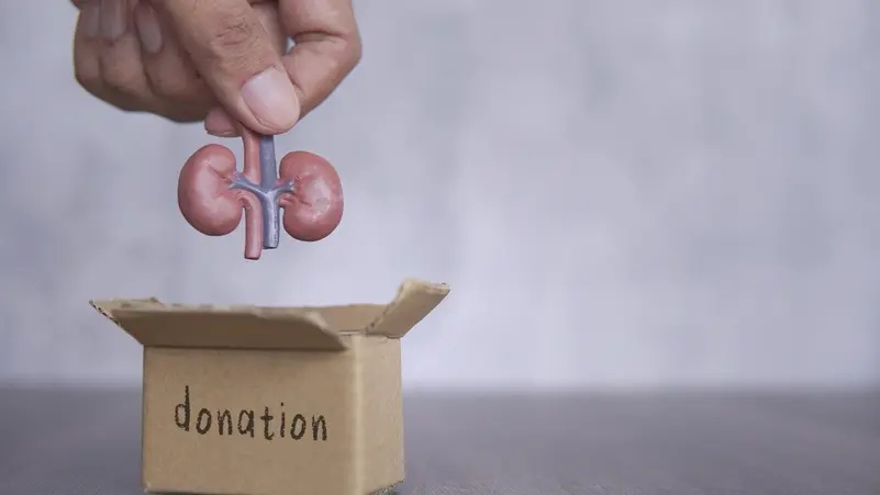 تقنية جديدة تقلب موازين زراعة الكلى