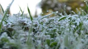 طقس بارد وتقلبات جوية: تحذيرات من تدني الرؤية وتشكل الصقيع