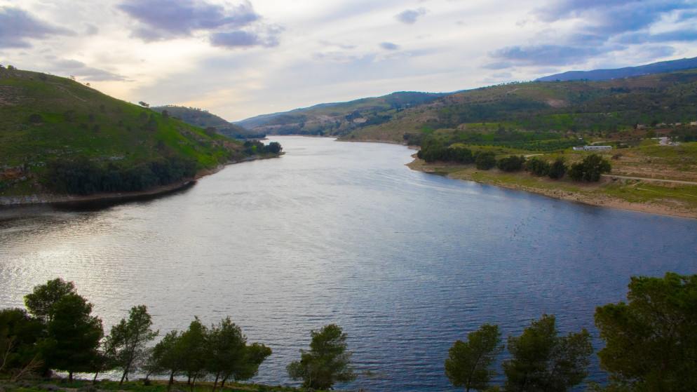 وزارة الزراعة: الموسم المطري ممتاز ويعزز إنتاجية الأشجار والمحاصيل