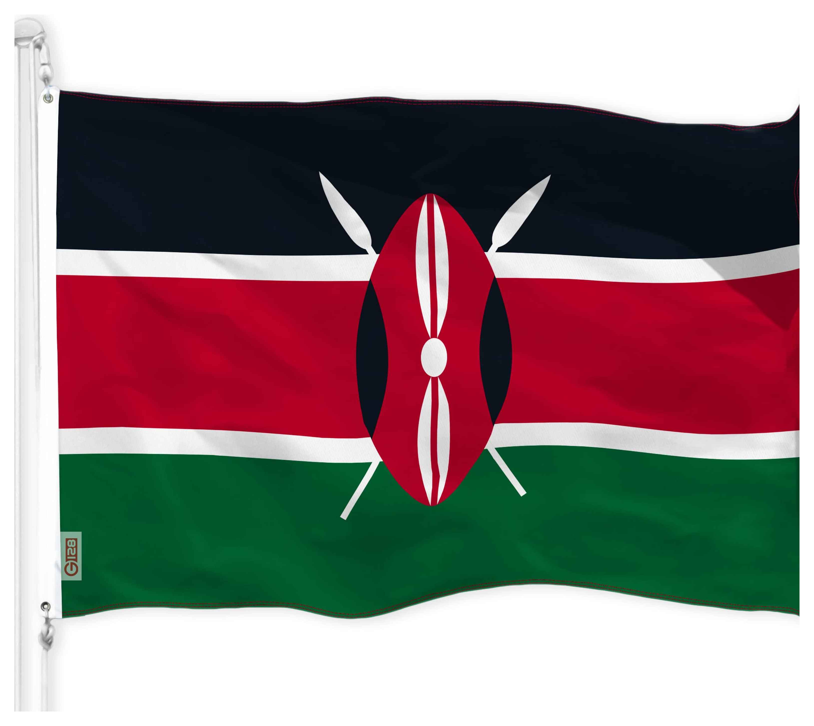 انتخاب الكينية فيبي اوكوا قاضية في محكمة العدل الدولية  