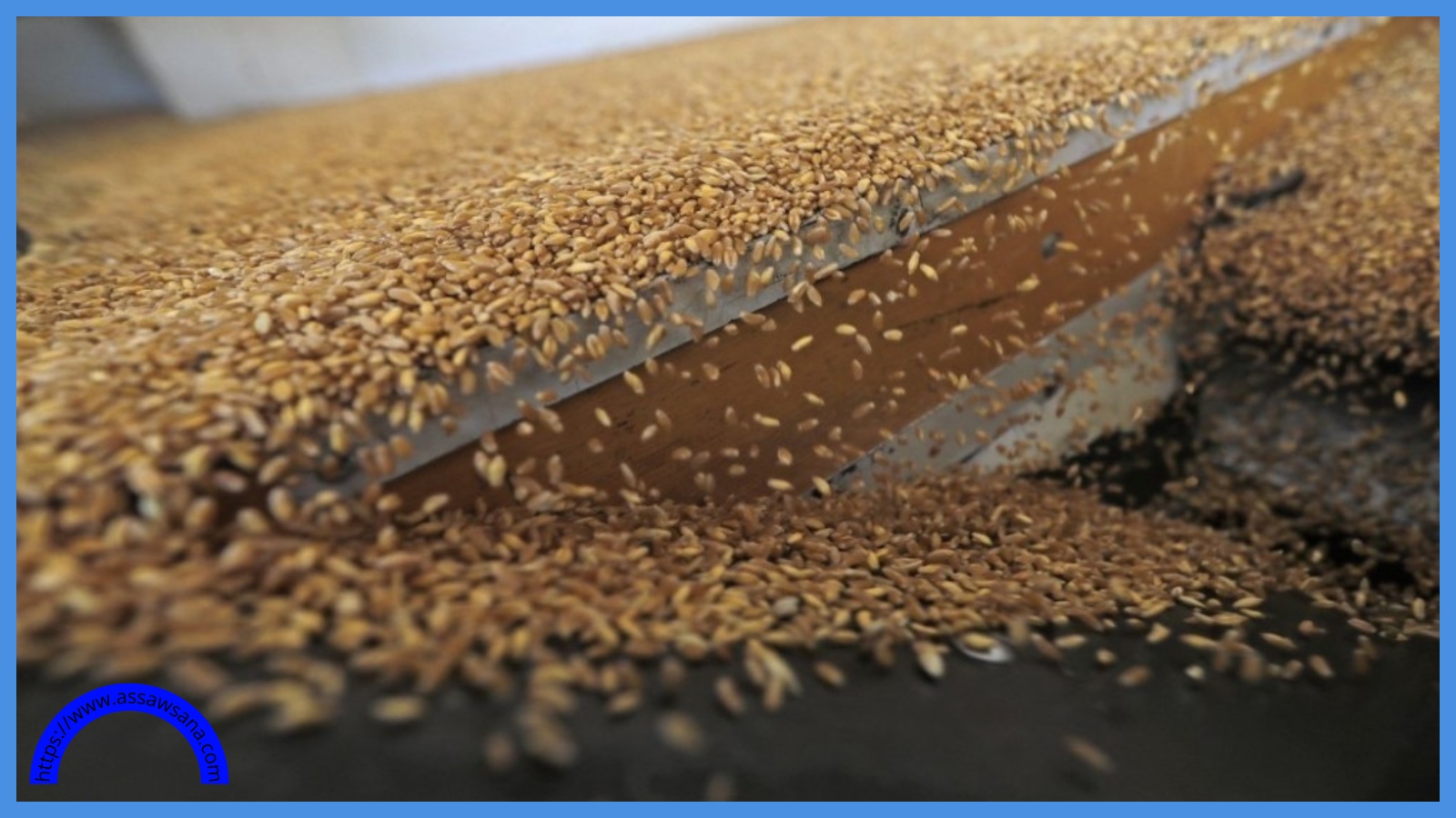 مهم بشأن مخزون القمح والشعير وأسعار الخبز