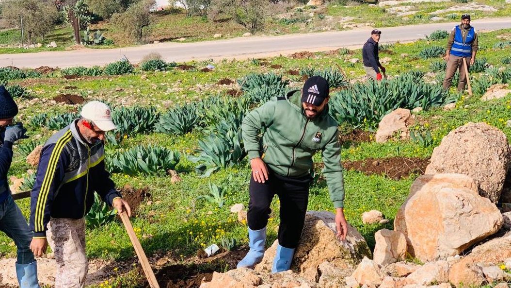 بلديات تواصل حملات التشجير لتعزيز الرقعة الخضراء في المملكة