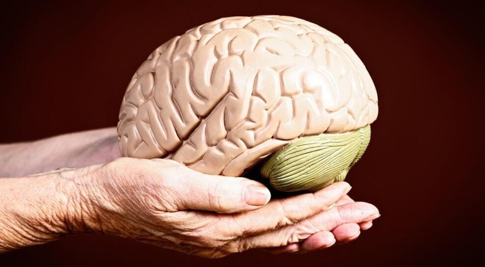 علماء يطورون طريقة لإبطاء شيخوخة الدماغ