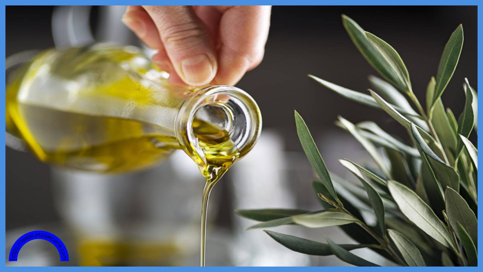 انطلاق مهرجان الزيتون العجلوني بتلفريك عجلون الخميس