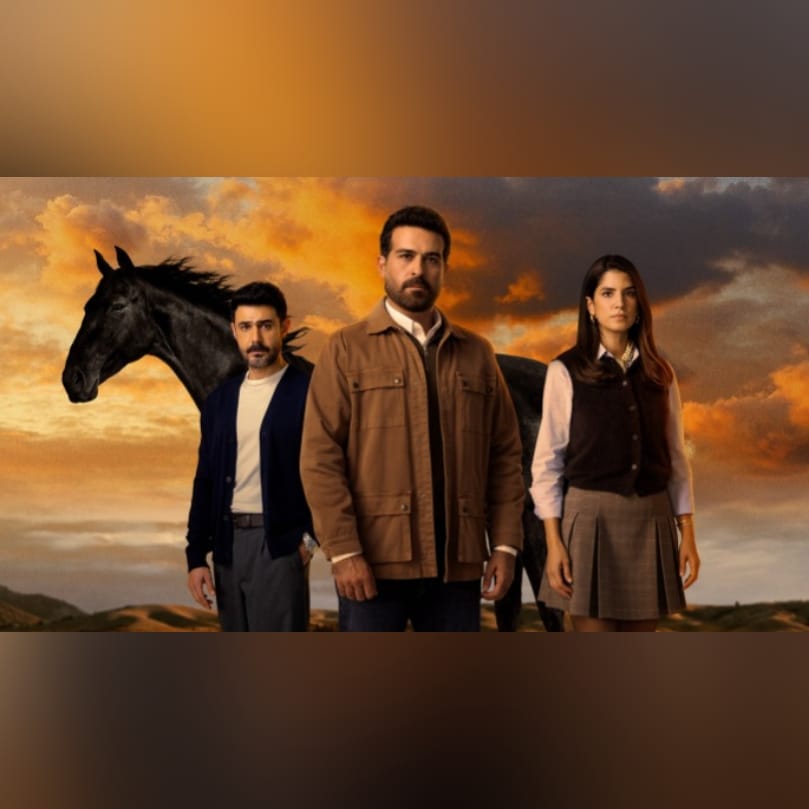 من هم أبطال مسلسل ليل النسخة المعربة من ابنة السفير