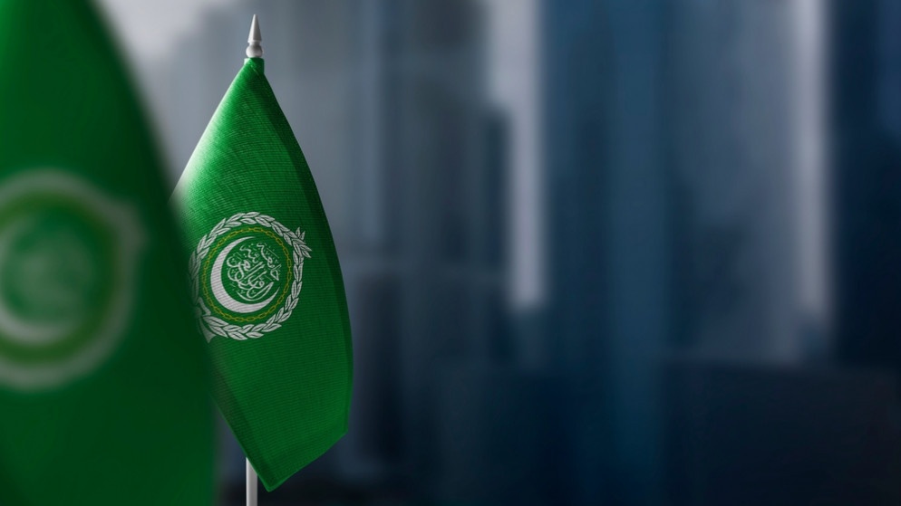 ترحيب عربي بالاتفاق الليبي على البرنامج التنموي الموحد