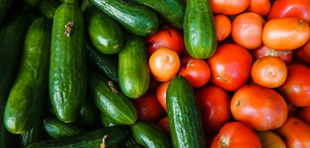 خريسات: مشكلة البندورة والخيار بسبب الظروف الجوية