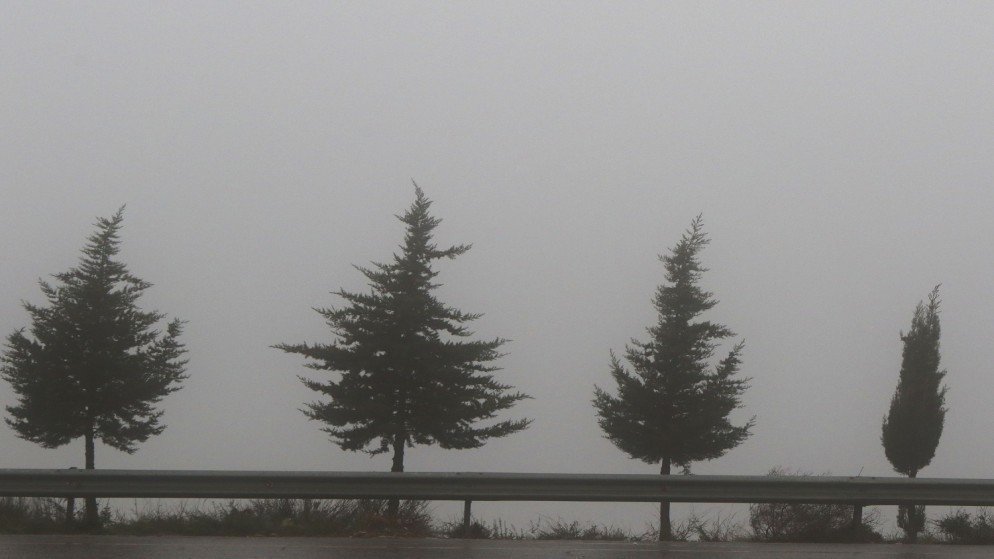 طقس بارد وفرصة لتساقط الأمطار