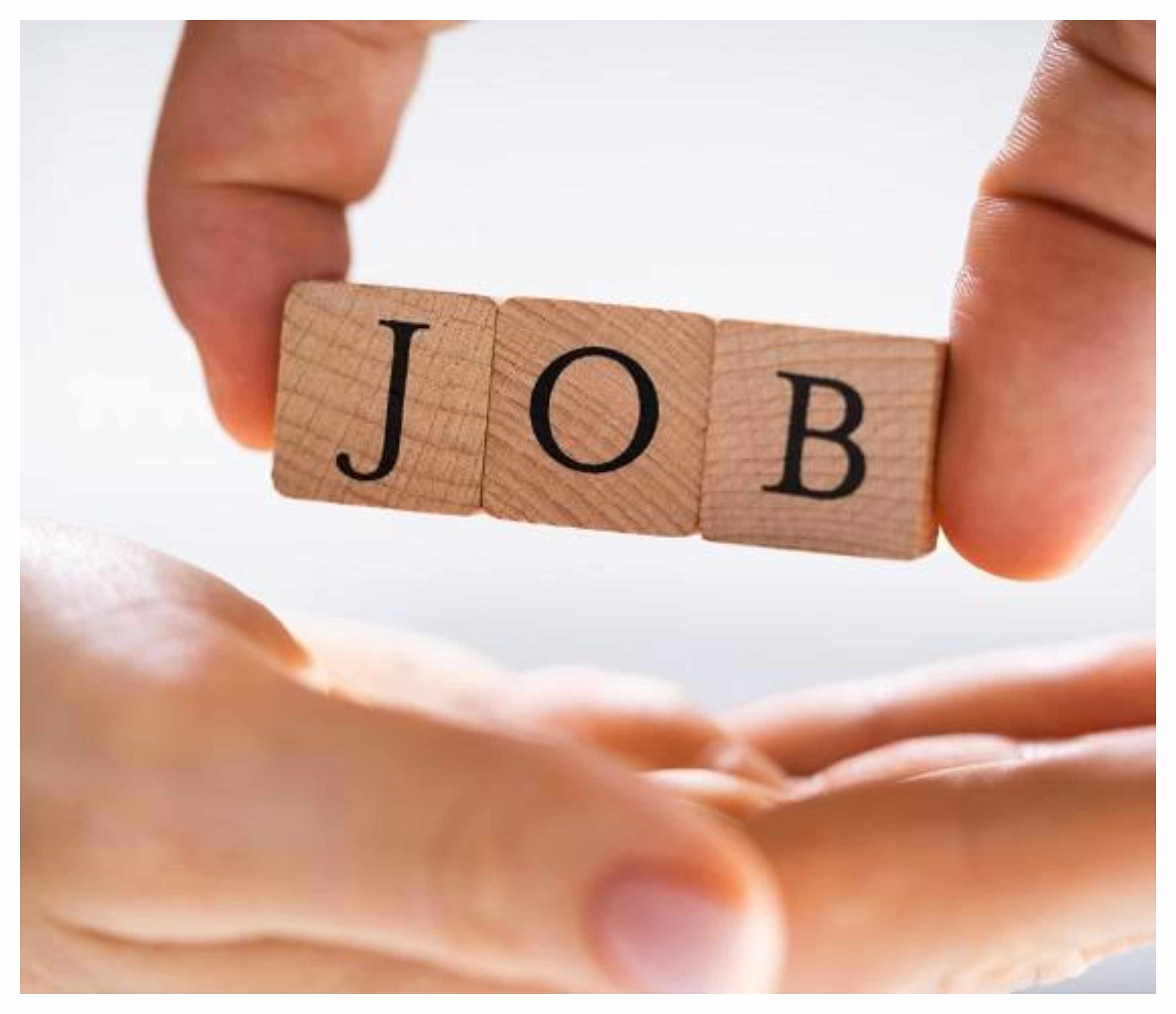 القطاع الحكومي يعلن عن برنامج توظيف شامل  ..  رابط 