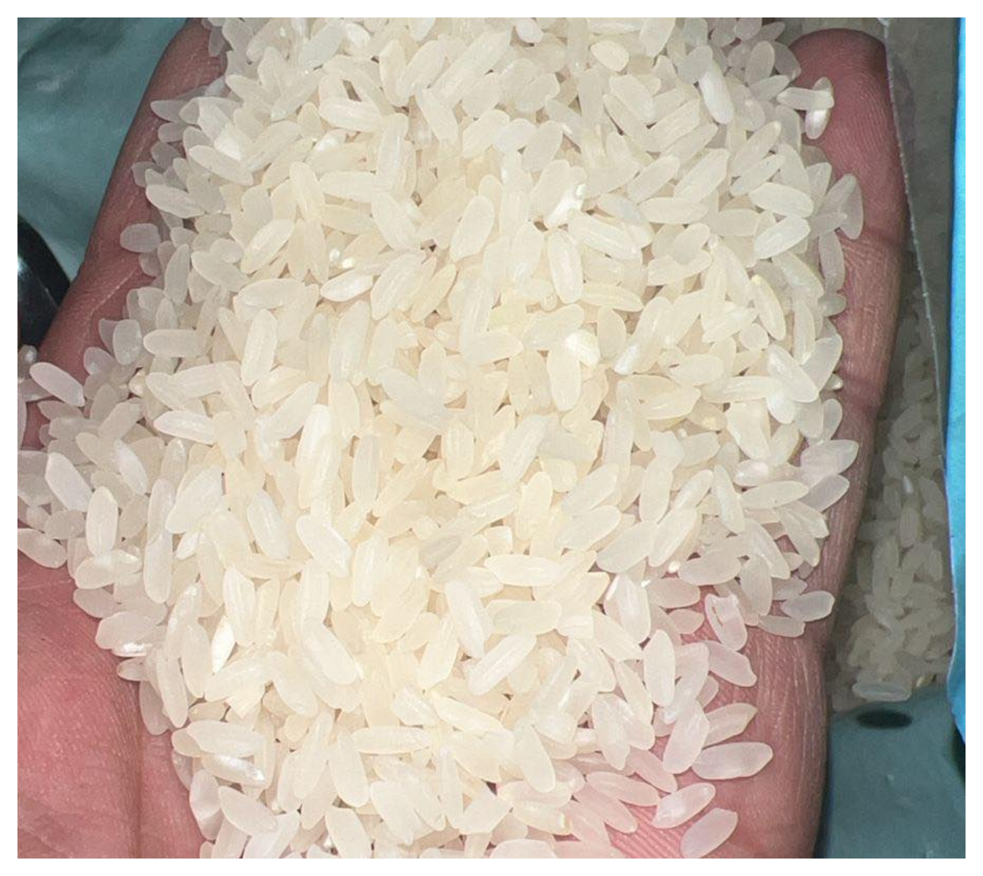 الغذاء والدواء تبدأ حملة رقابية على معامل الأرز استعدادًا لرمضان  .. فيديو 