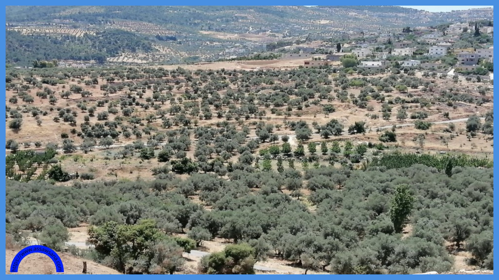 ضبط أحد المعتدين على الأشجار الحرجية في جرش