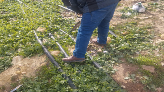 ضبط اعتداءات على خطوط مياه ناقلة وبيع صهاريج مخالفة في عدة محافظات