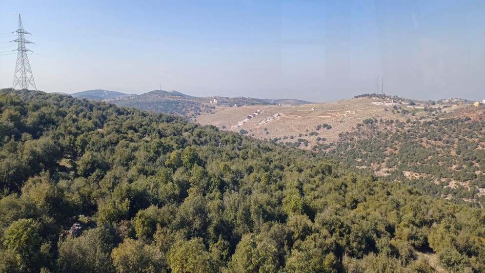 الإحصاءات العامة: ارتفاع مساحة المحميات الطبيعية بنسبة 2.3%