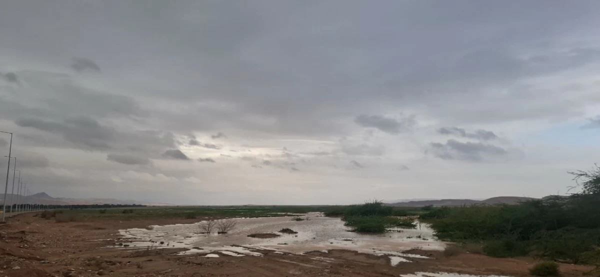 بعد سنوات الجفاف ..  الأمطار الغزيرة تنعش الحياة لقاع السعيديين