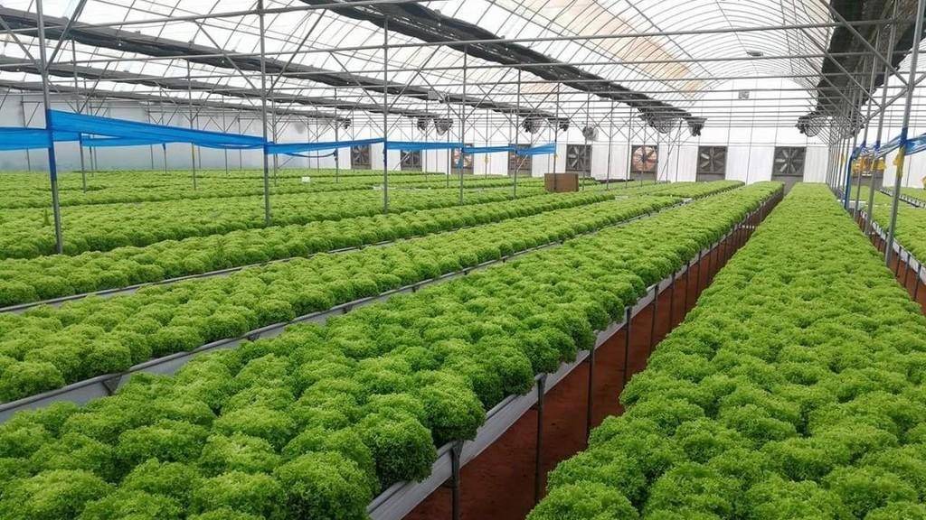 دعوة للمزارعين لاتباع الإرشادات خلال المنخفض