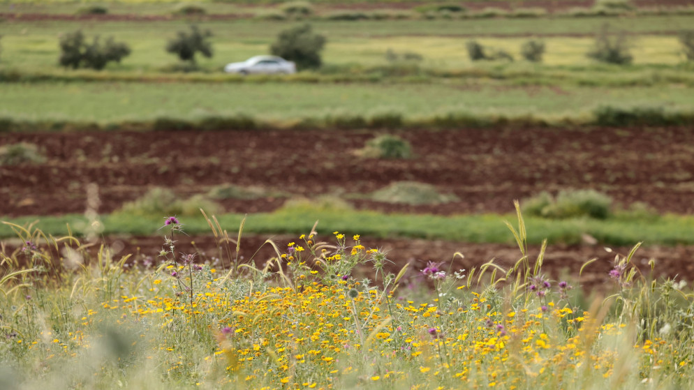 تحذيرات من الأمن وإدارة الأزمات للمتنزهين