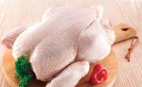 حماية المستهلك تتوقع ارتفاع أسعار الدجاج في رمضان