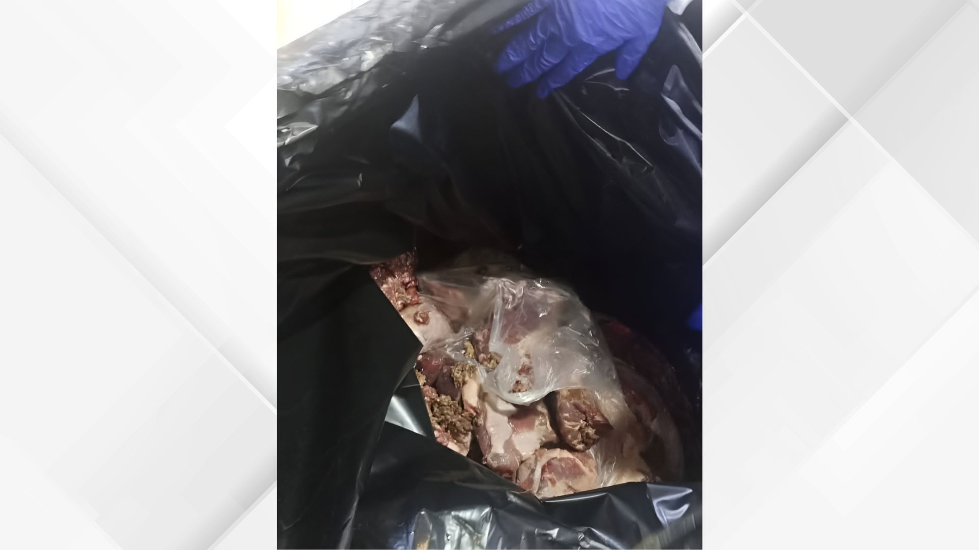 ضبط لحوم غير صالحة للاستهلاك البشري داخل مول بالمفرق