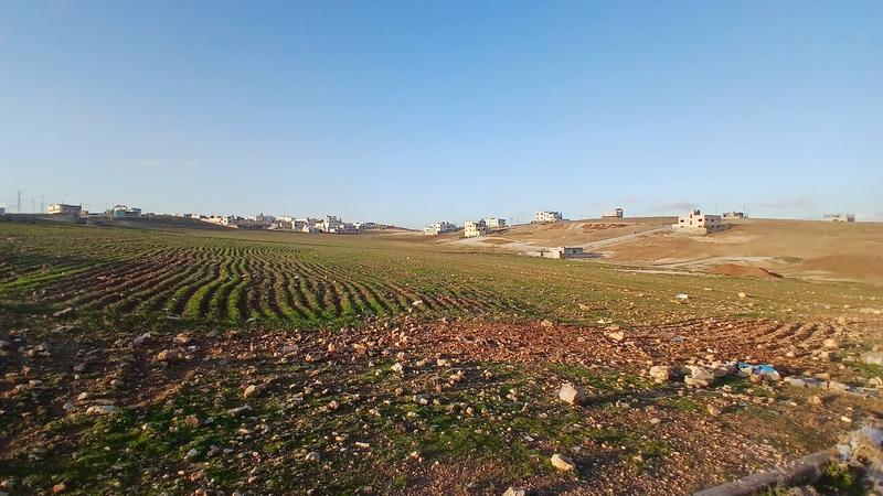 الإسكان تفتح باب التقديم لأراضٍ سكنية في ضاحية الأميرة إيمان