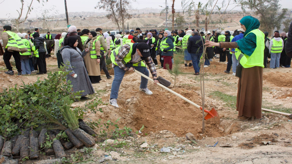 حملة وطنية لزراعة أكثر من ربع مليون شجرة