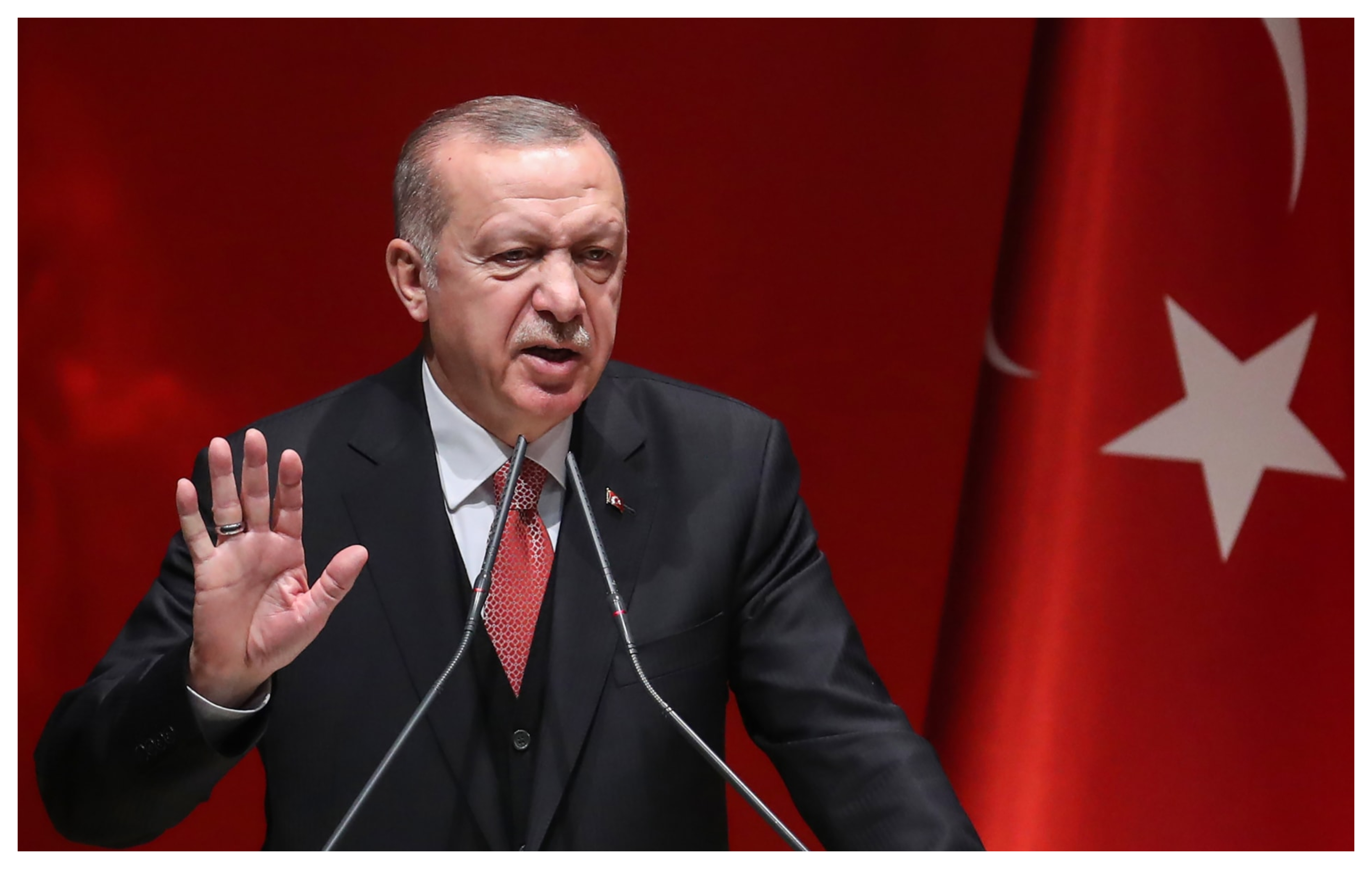  أردوغان يتبرع بأضحيته لصالح الهلال الأحمر التركي