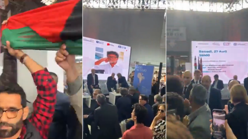 التوانسة يطردون سفير إيطاليا نصرة لغزة .. فيديو