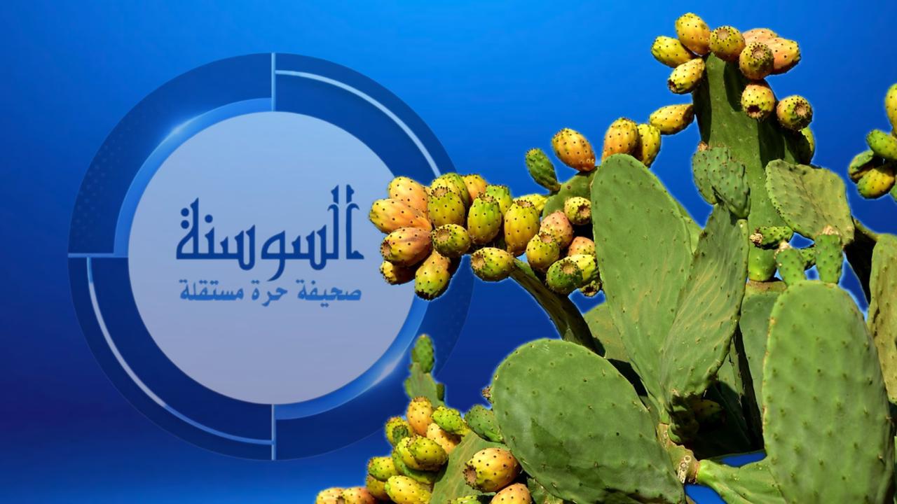 كيف يحمي التين الشوكي قلبك ويحارب الالتهابات؟