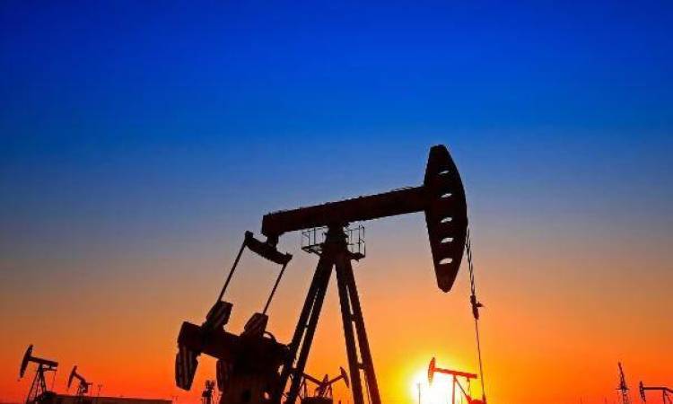 استقرار سوق النفط العالمية