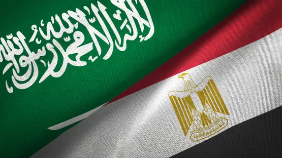 مقارنة عسكرية بين مصر والسعودية لعام 2026: تكامل الترسانات وتوازن القوى