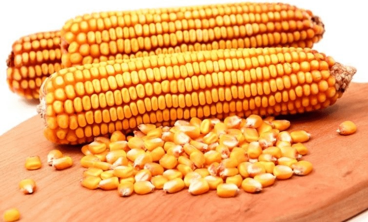 أسهل طريقة لتحميص الذرة