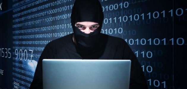البحث الجنائي:تعاون مع الإنتربول حول الجرائم الإلكترونية المرتكبة من الخارج
