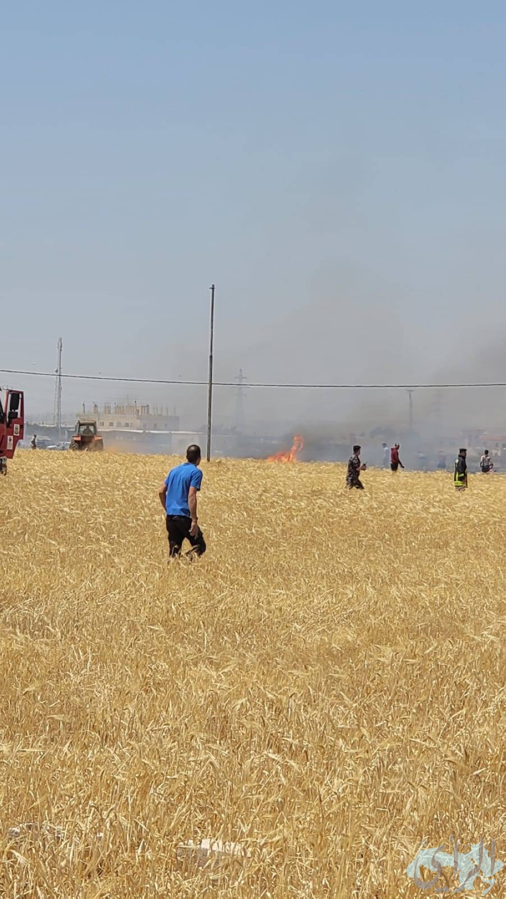 إخماد حريق بأحد حقول القمح في إربد