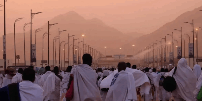 ضيوف الرحمن يبدؤون النفرة من عرفات لمزدلفة