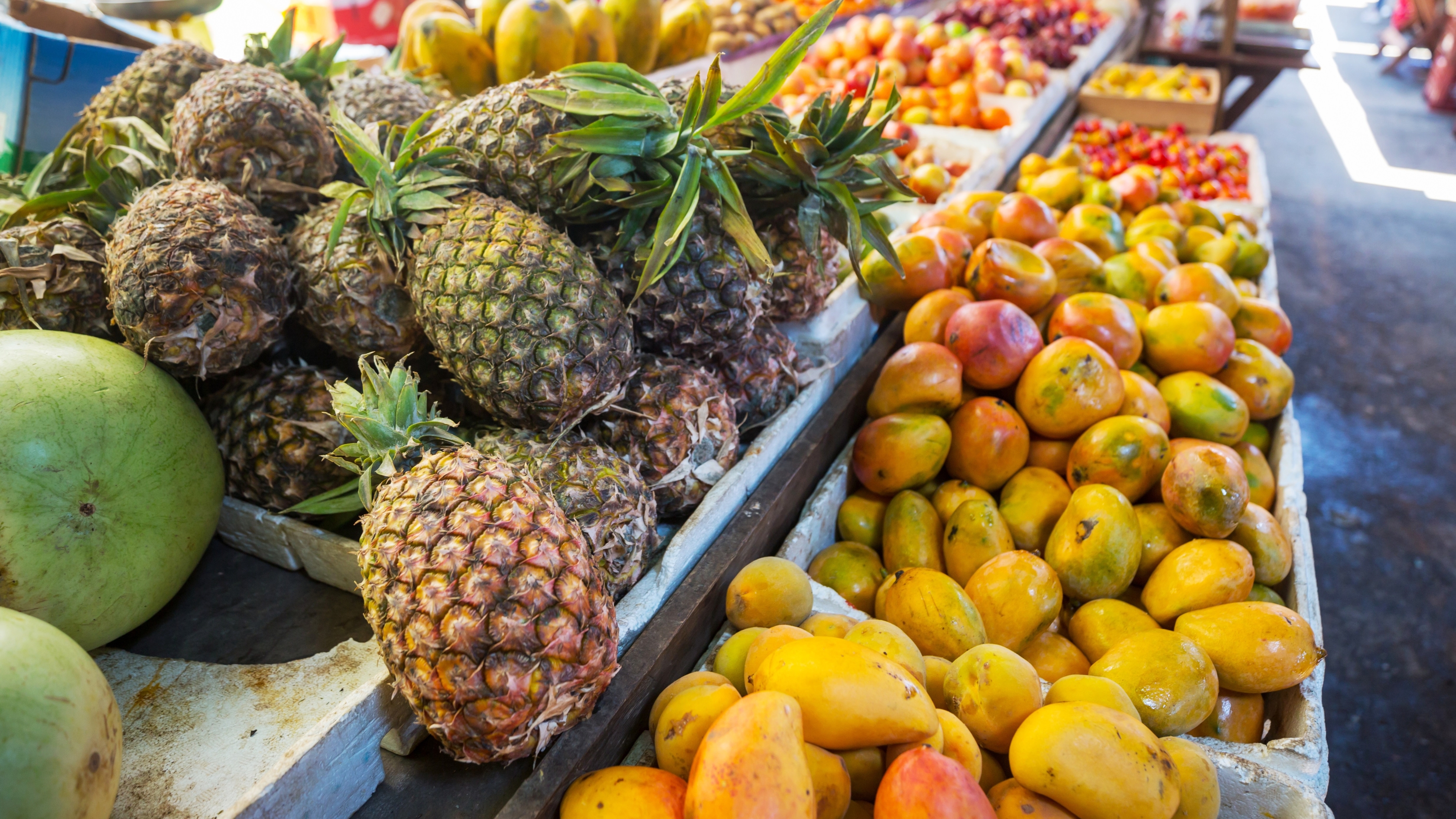 أسعار الخضار محلياً اليوم