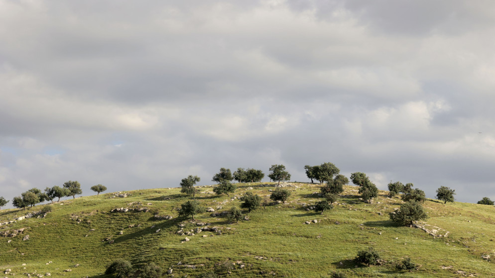 ارتفاع على الحرارة وأمطار غزيرة وتحذير من السيول ..  التفاصيل