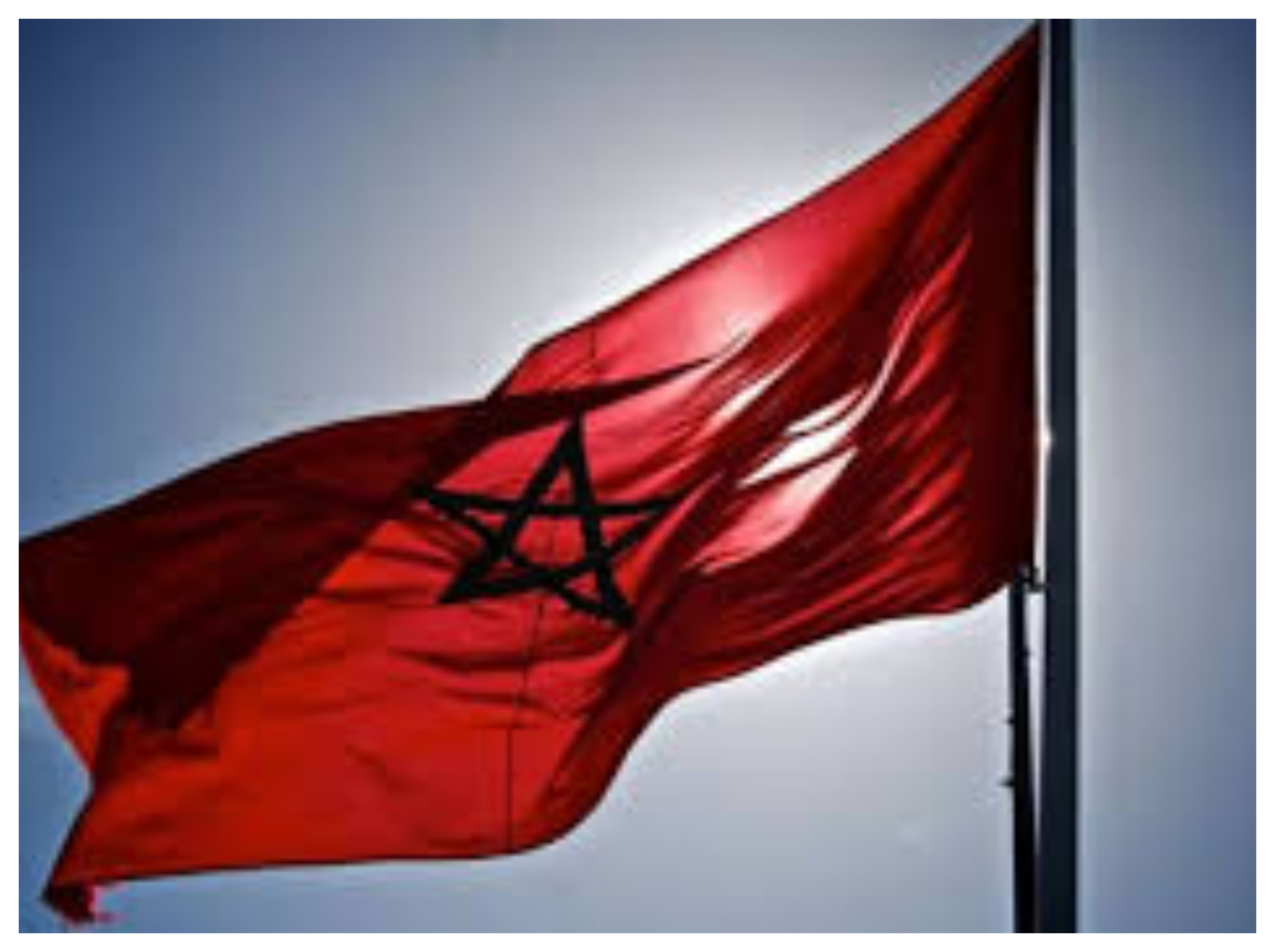 الأراضي المنخفضة: حكم ذاتي تحت السيادة المغربية الحل الأمثل لقضية الصحراء