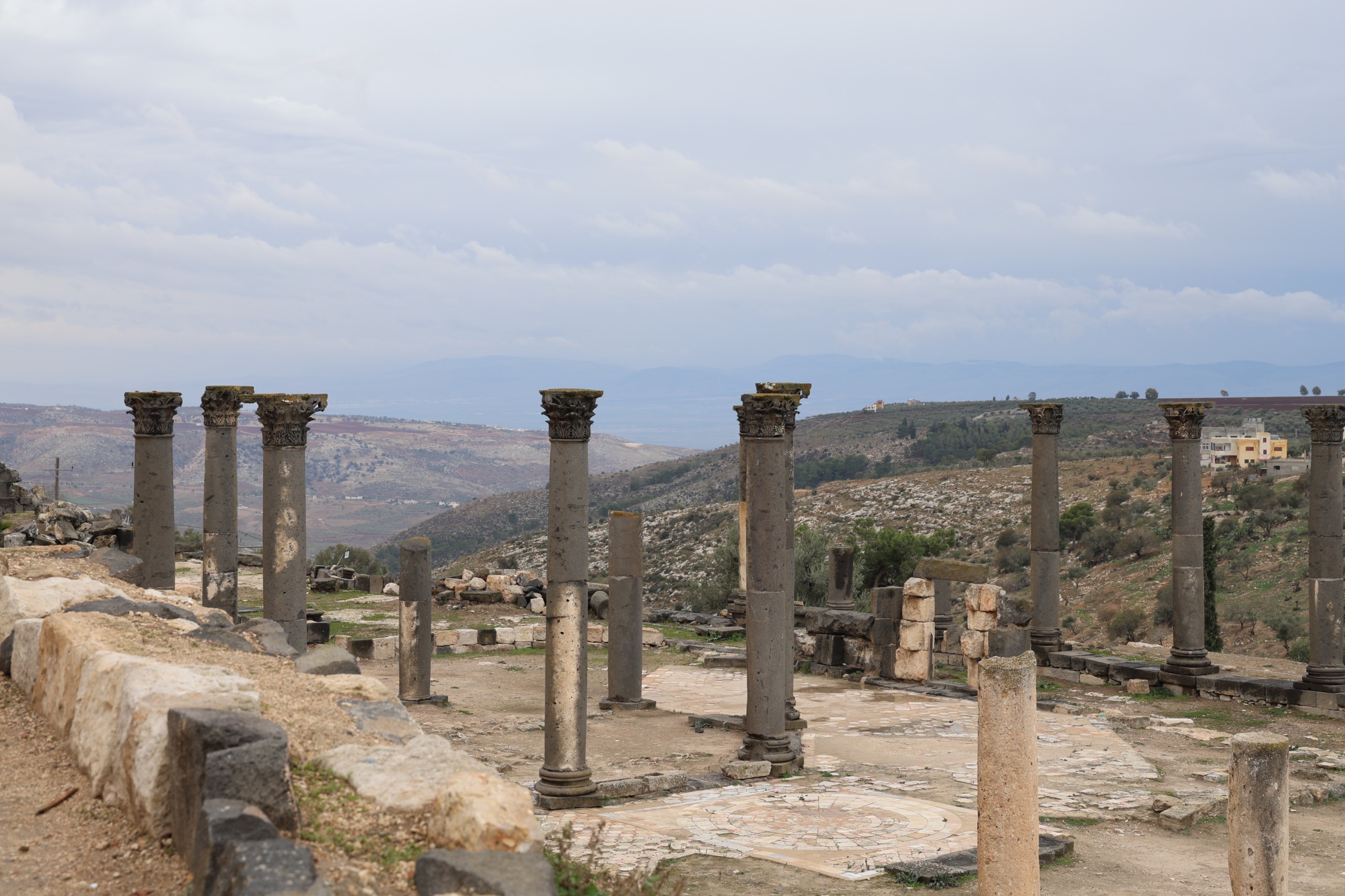 أم قيس في الربيع 