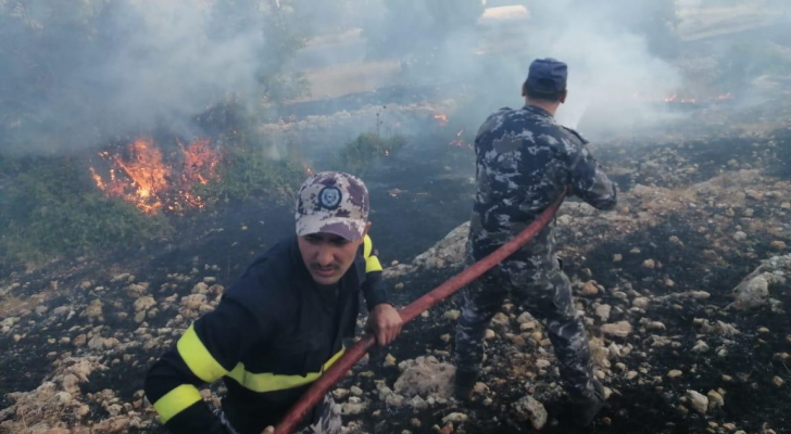 الدفاع المدني يخمد 673 حريق لأعشاب جافة وأشجار 