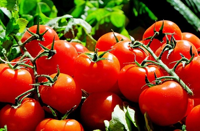 فوائد مذهلة للطماطم ..  تعرف إليها