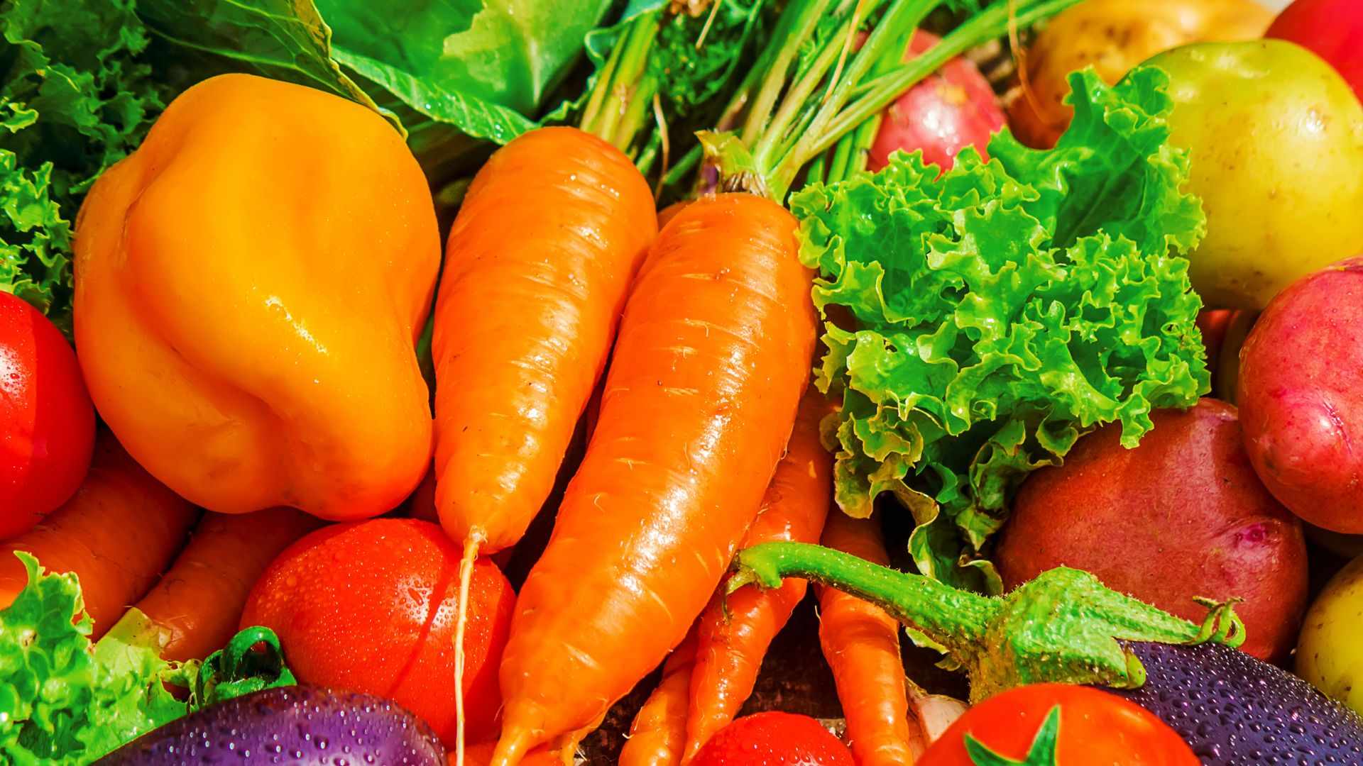 1553 طنا من الخضار ترد السوق المركزي اليوم