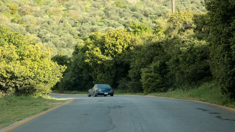 ربيع مبكر في عجلون يعزز الحركة السياحية