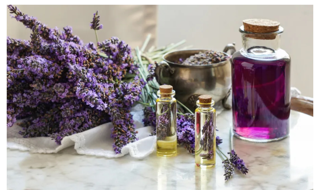 زيت اللافندر ..  منظف طبيعي متعدد الاستخدامات