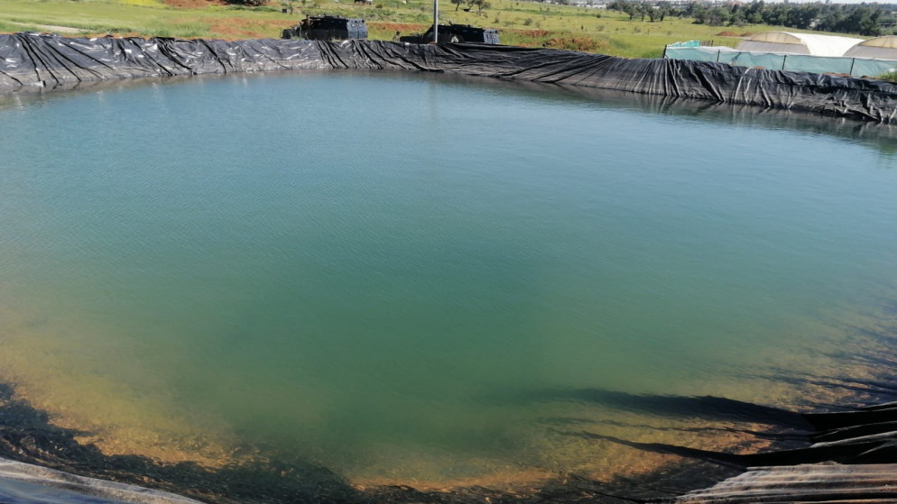 زراعة الأغوار الشمالية تدعو لتسييج البرك الزراعية