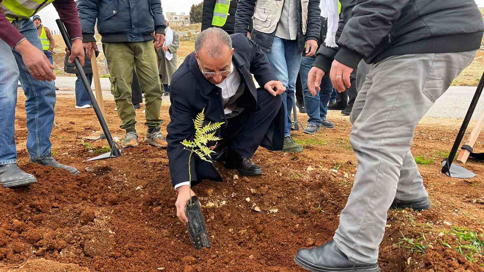 بلدية سحاب تطلق حملة تشجير لتعزيز الغطاء النباتي في المدينة  