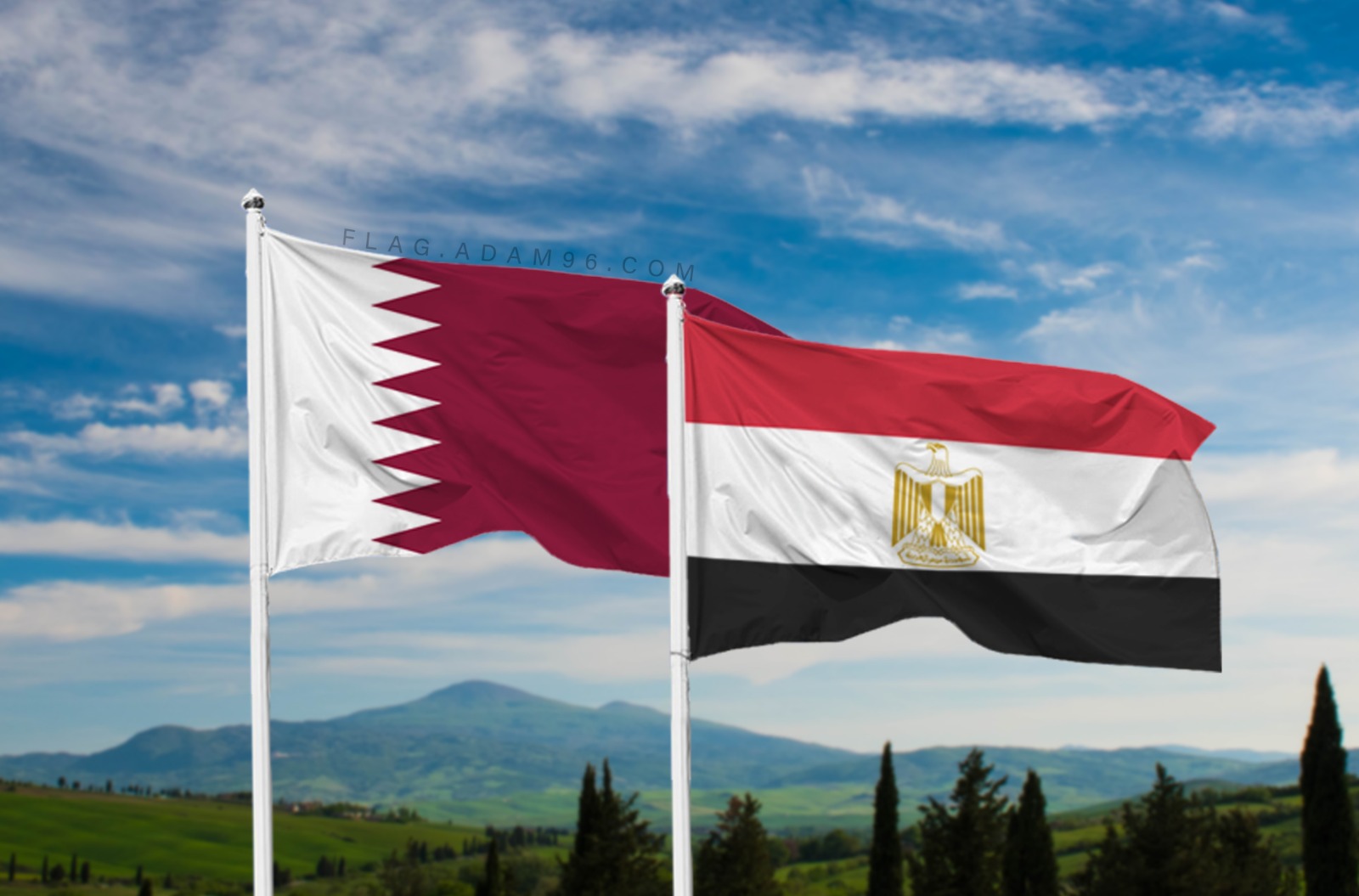 أمير قطر والرئيس المصري يجتمعان قبل انعقاد القمة الطارئة