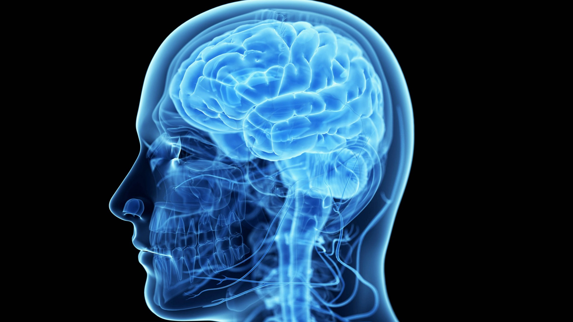 كيف تتحكم "جمجمتك" في الآلام المزمنة وأمراض الدماغ؟