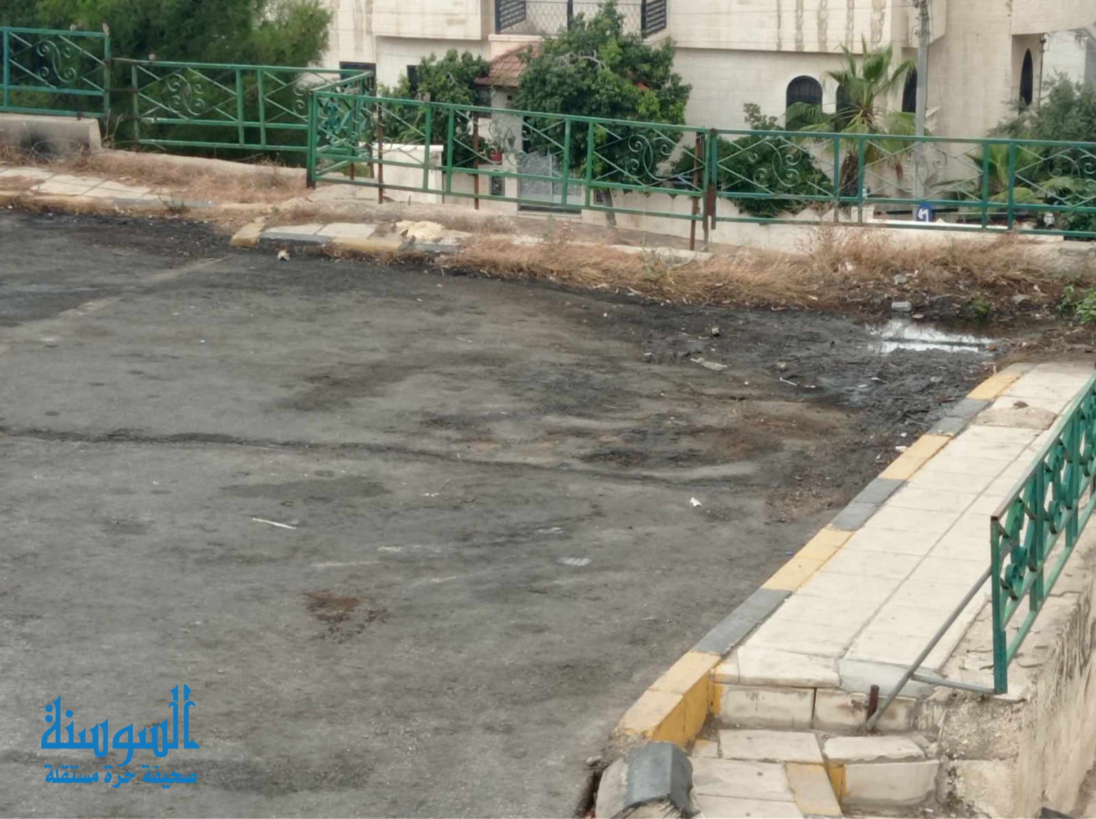 أمانة عمان لا تمون على سائقي الكابسات .. فيديو