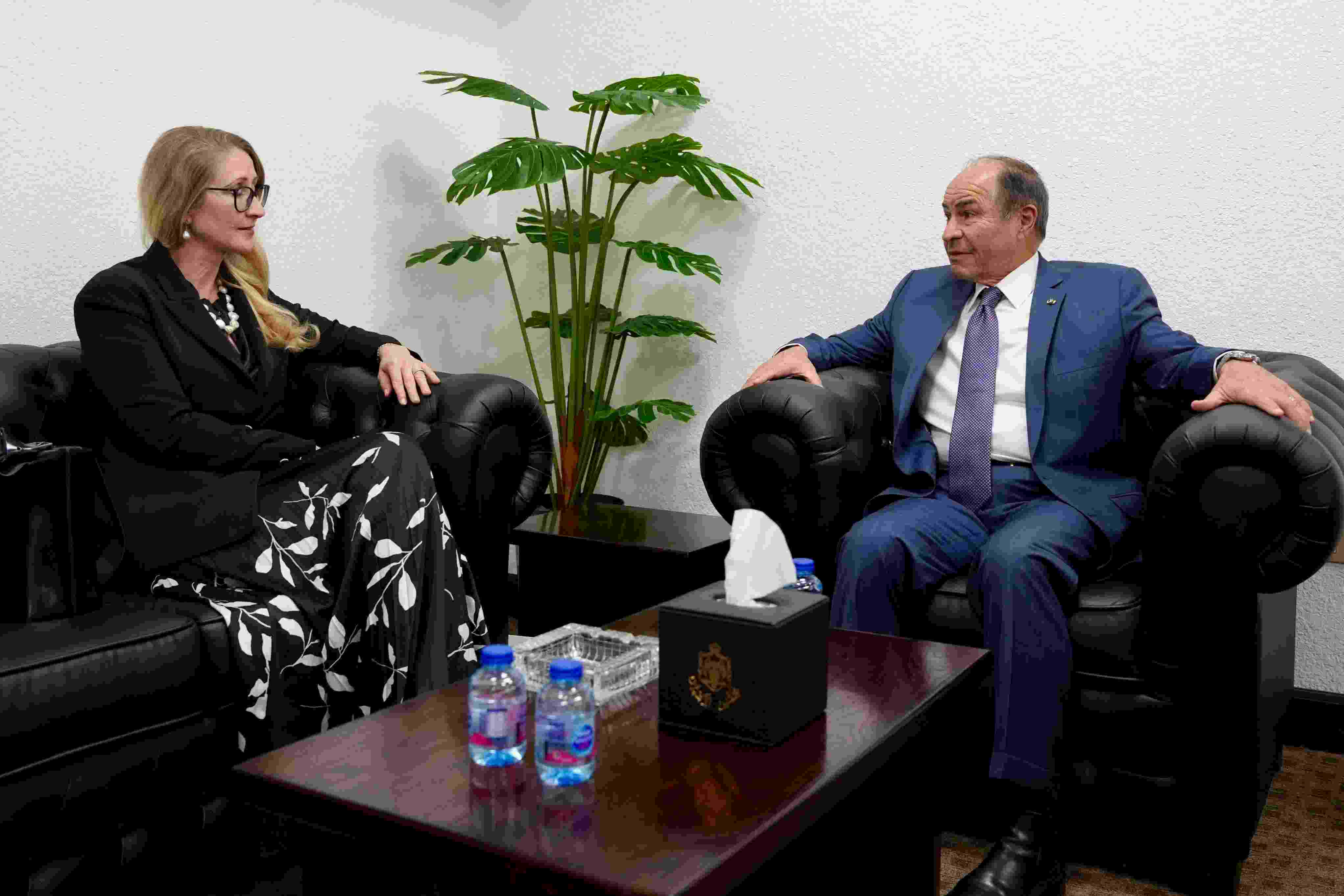 الملقي يبحث مع السفيرة التشيكية تعزيز التعاون الثنائي بين البلدين