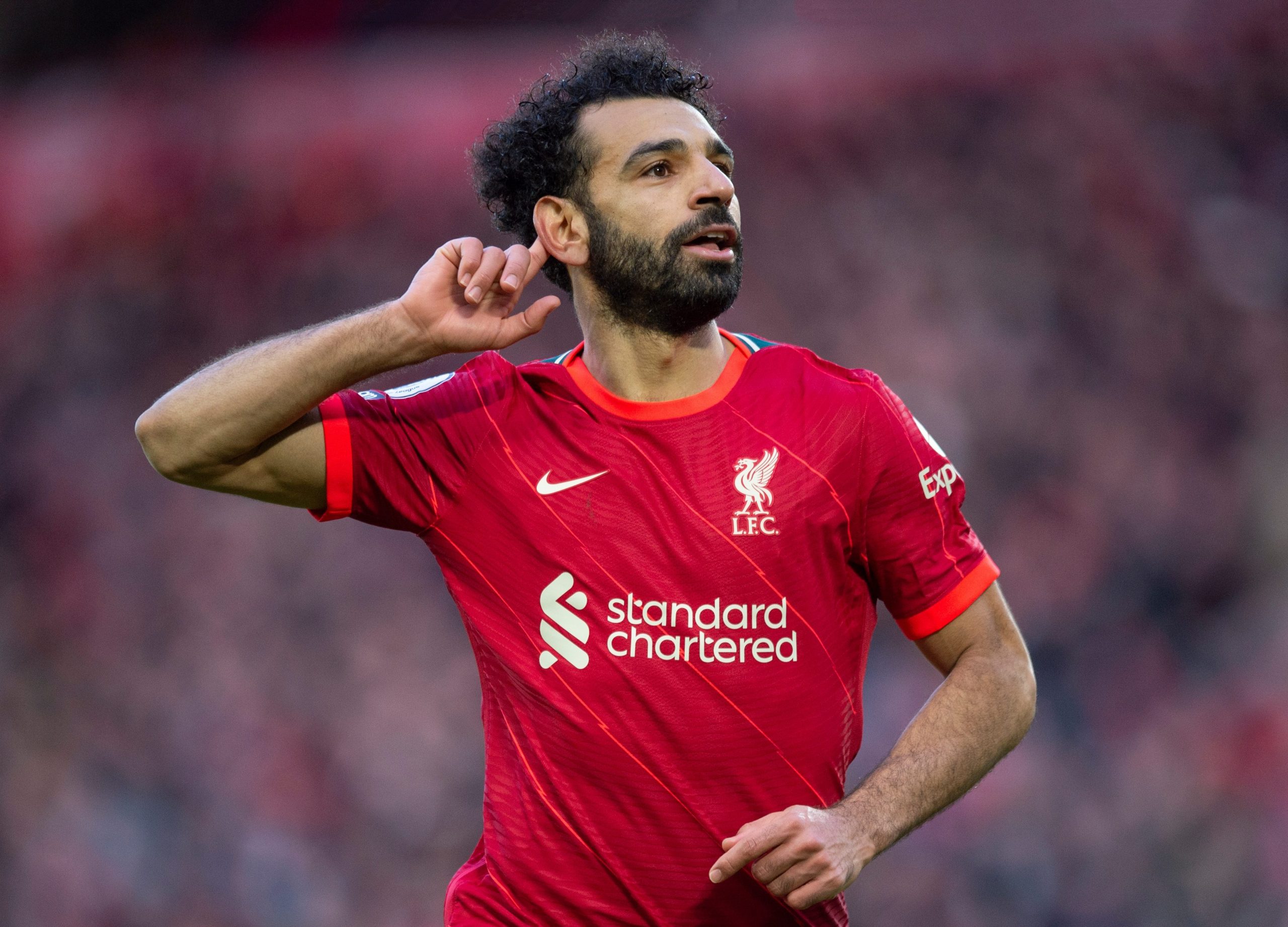 باسم يوسف: محمد صلاح تعرض للظلم ..  وياسمين عز كاركتر